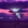 Parasols géants